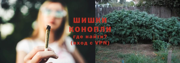 МДПВ Бронницы
