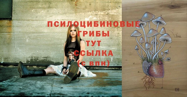 прущий лед Бугульма