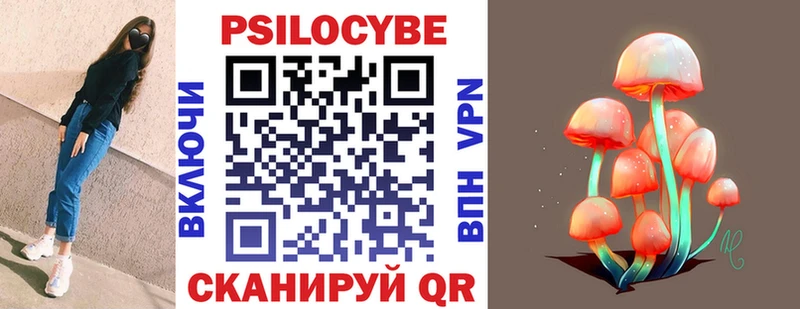 Псилоцибиновые грибы GOLDEN TEACHER Хабаровск